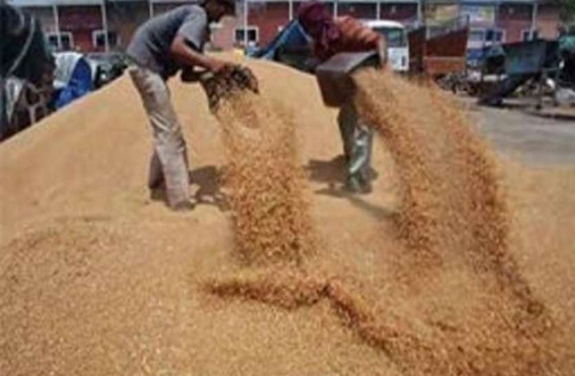 Farmers facing problem for wheat and sugarcane payment Lakhimpur Kheri गेंहू और गन्ने के भुगतान को लेकर किसान परेशान, सरकार के आदेश का भी नहीं कोई असर