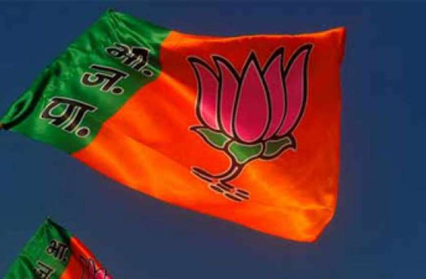 BJP leader said government will not reduce diesel and petrol prices भाजपा के इस बड़े नेता ने कहा डीजल-पेट्रोल के दाम अभी कम नहीं करेगी सरकार