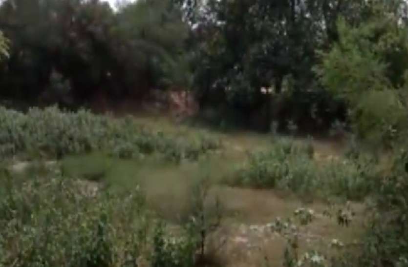 water crisis in auraiya जल संकट से यूपी के इस इलाके में मचा हाहाकार, वीडियो में देखें ग्रामीणों का दर्द