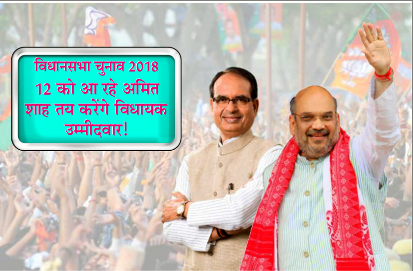 assembly election 2018: amit shah will declare MLA candidate of MP विधानसभा चुनाव 2018: 12 को आ रहे अमित शाह तय करेंगे विधायक उम्मीदवार!