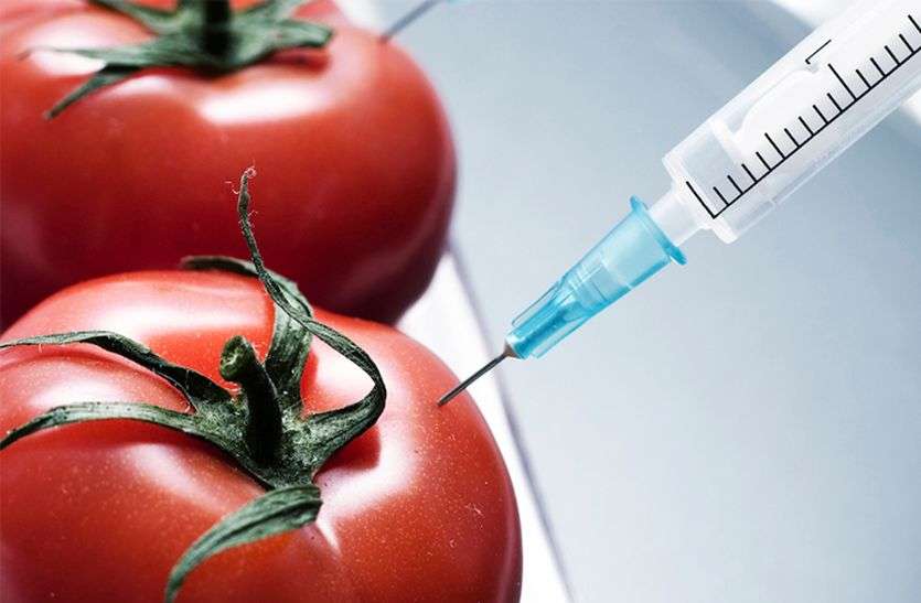 Vegetable पढ़े खबर : कैसे केमिकल से तैयार हो रहे खाद्य पदार्थ दे रहे है यह खतरनाक बीमारी....