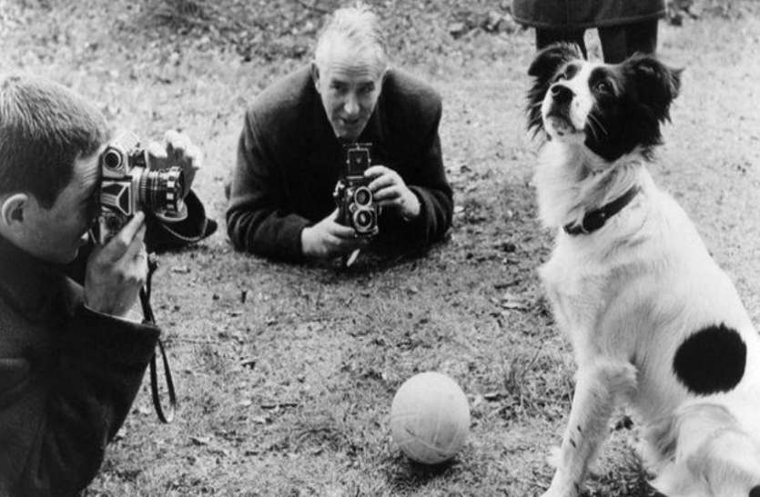 dog FIFA WC 2018 : जब एक कुत्ते ने बचाई इंग्लैंड और फीफा की इज्जत, जानें क्या था पूरा माजरा