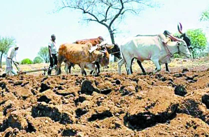 CGNews मानसून ने दे दी है दस्तक,खरीफ फसल की बोआई में पिछड़ न जाएं यहां के किसान