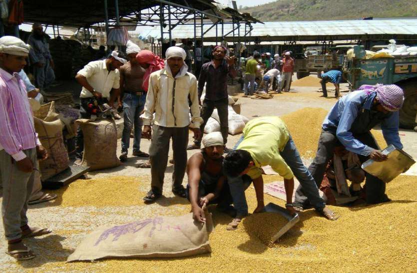 raisen, raisen news, raisen patrika, patrika news, patrika bhopal, bhopal mp, galla mandi, purchasing center, मजदूरी नहीं मिलने से हम्माल परेशान, कहा नहीं मिली मजदूरी तो करेंगे आंदोलन