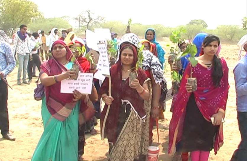 mahoba बिगड़ते पर्यावरण को रोकने के लिए एक संस्था की पहल, सूखे जनपद में 10 लाख पौधरोपण का रखा लक्ष्य