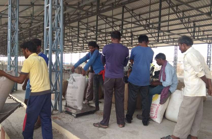 Seized 75 quintals of gram from three farmers itarsi क्या मंडी उपाध्यक्ष बिकवा रहे थे पुराना चना- पढ़ें खबर