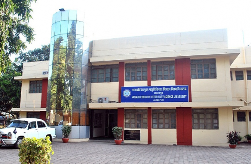 NDVSU Recruitment 2018 प्रोफेसर, प्रिंसिपल साइंटिस्ट, एसोसिएट प्रोफेसर सहित 115 पदाें पर निकली वैकेंसी, करें आवेदन