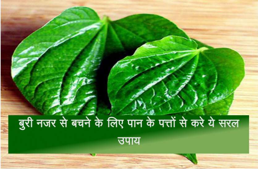 paan बुरी नजर से बचने के लिए पान के पत्तों से करे ये सरल उपाय