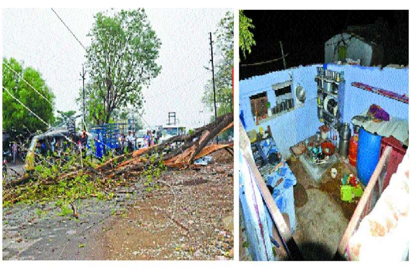 Trees fell due to storm The roof of the houses flew प्रकृति का कहर देख सहमे लोग, एक दर्जन पेड़ जमींदोज, छप्पर उड़े, बिजली गुल
