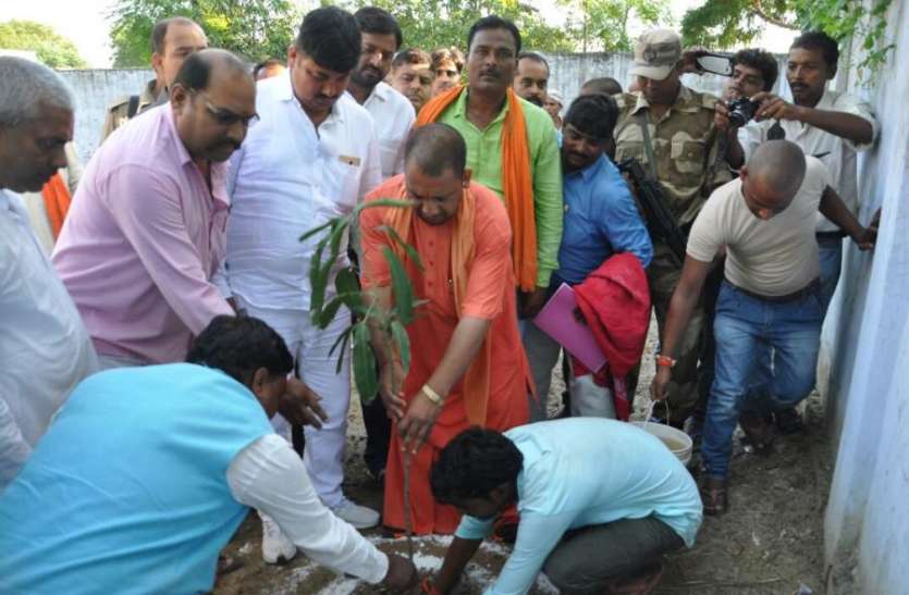 yogi adityanath जिन्दा होते पांच साल में रोपे गये पौधे तो जंगल में तब्दील हो जाता शहर