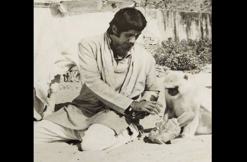 Amitabh bachchan जब लंगूर ने कर दिया था अमिताभ पर हमला, जानिए उस रोचक किस्से के बारे में