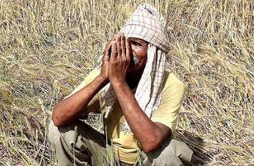 farmer राजस्थान के इन जिलों के किसान नहीं ले सकेंगे सहकारी बैंक से loan, जानिए यह है वजह