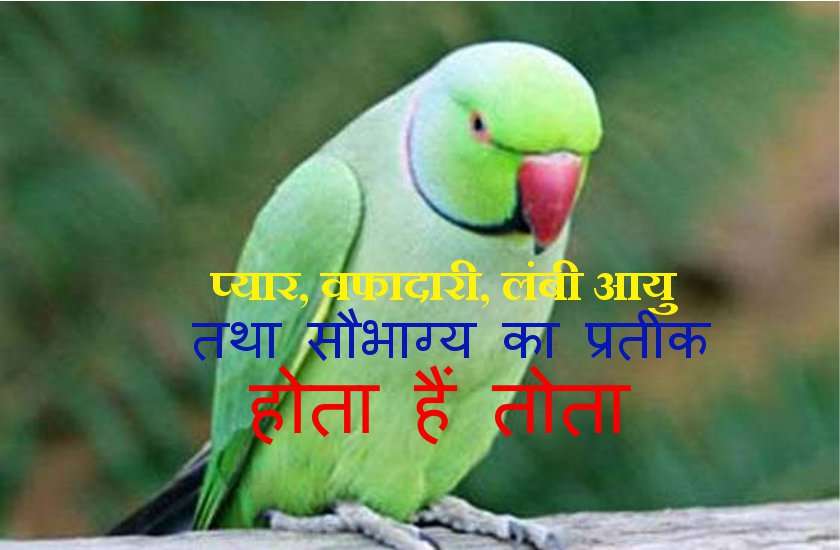 ghar ka vastu