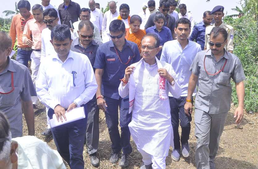 CM announces Banana farmers to give one lakh per hectare सीएम की घोषणा, केला किसानों को प्रति हेक्टेयर एक लाख देंगे