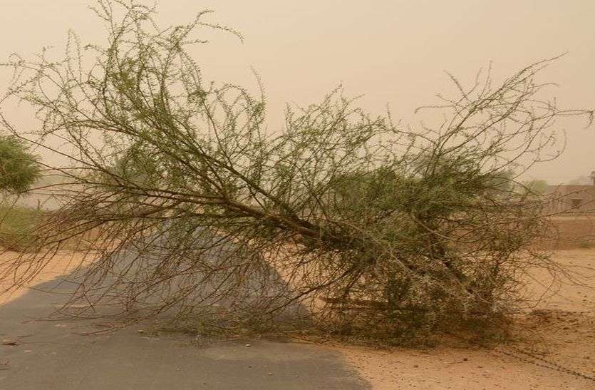 churu dust stone news दिन में धूल ने किया परेशान