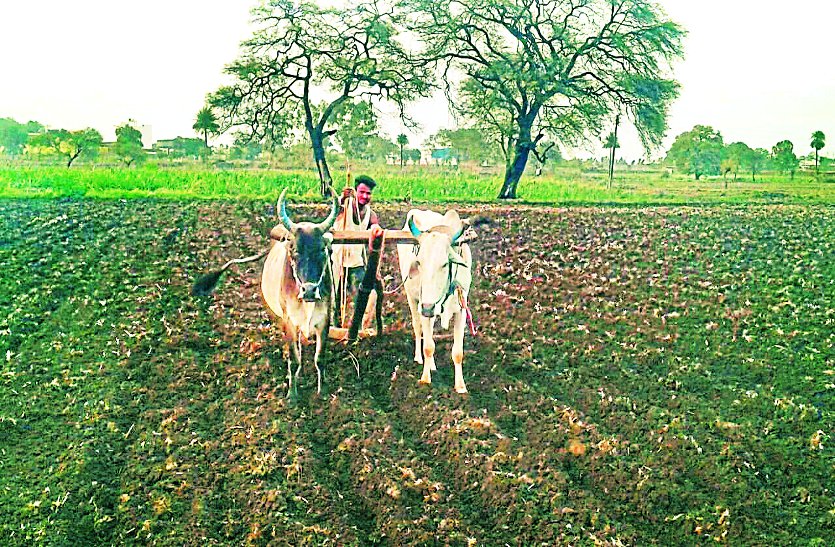 kisan मछली पालन के लिए किसानों का बनेगा मछुआ क्रेडिट कार्ड