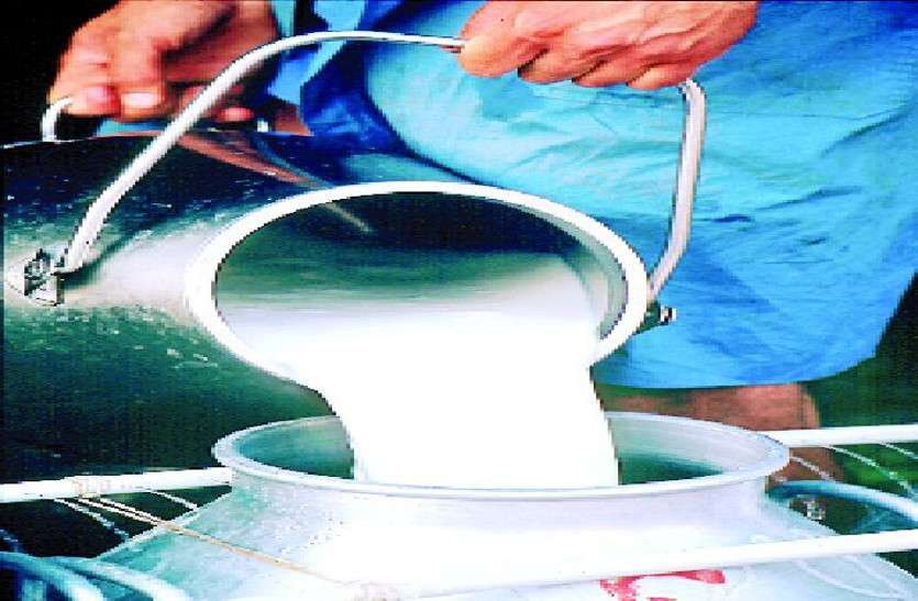 milk वसुंधरा सरकार स्कूली बच्चों को पिलाएगी 'शुगर फ्री' दूध...वजह जानकर रह जाएंगे हैरान