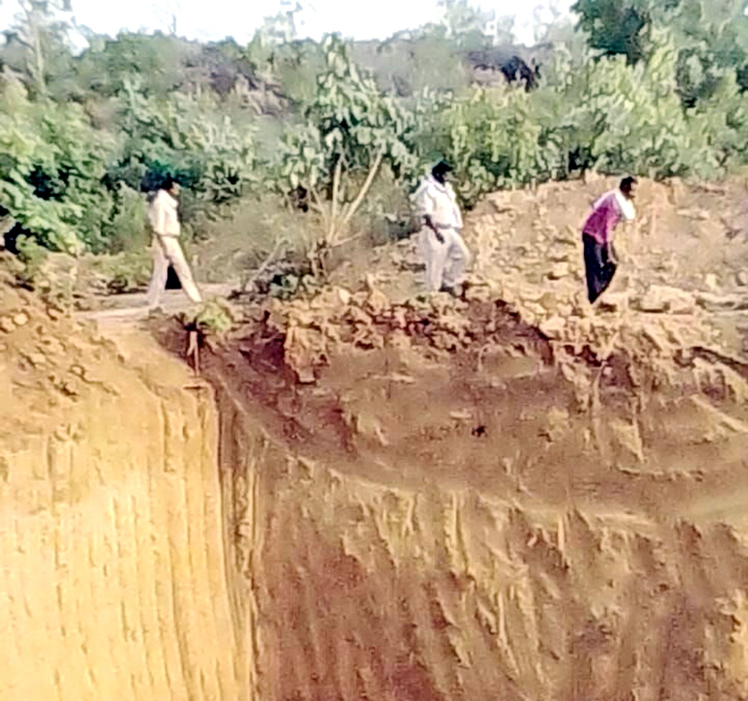 panna illegal Diamond Mine MP के इस जंगल में मिलीं हीरे की अवैध खदानें