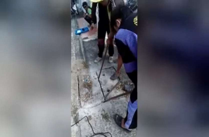 sewer सीवर से आ रही थी रोने की अजीबो-गरीब आवाज़, ढक्कन खोला तो बाहर निकले ये दो प्राणी