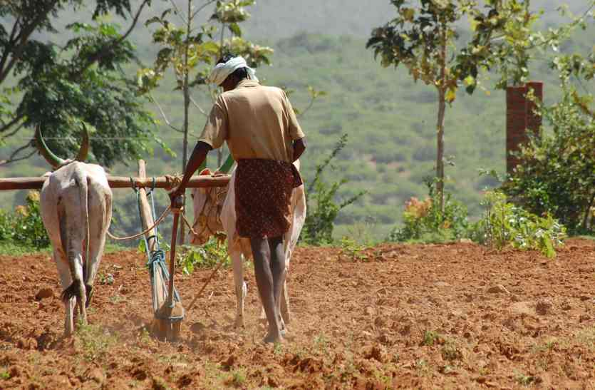 farming खेती और खाद्यान्न की प्रणाली में बदलाव के लिए कृषि अर्थशास्त्रियों का मंथन