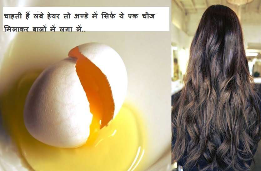Egg Mask For Long And Thick Hair च हत ह ल ब