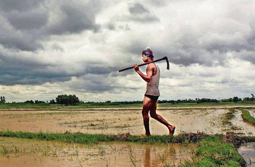 disappointed farmer झारखंड में मॉनसून रुठा, खेती की तैयारी में जुटे किसानों में मायूसी