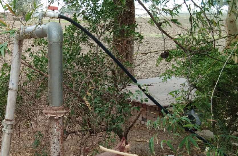 Electricity stolen in jhadol by employees of electricity department यहां खुद बाड़ ही खा रही है खेत, यहां विद्युत विभाग के कर्मचारी ही बिजली चोरी में लिप्त