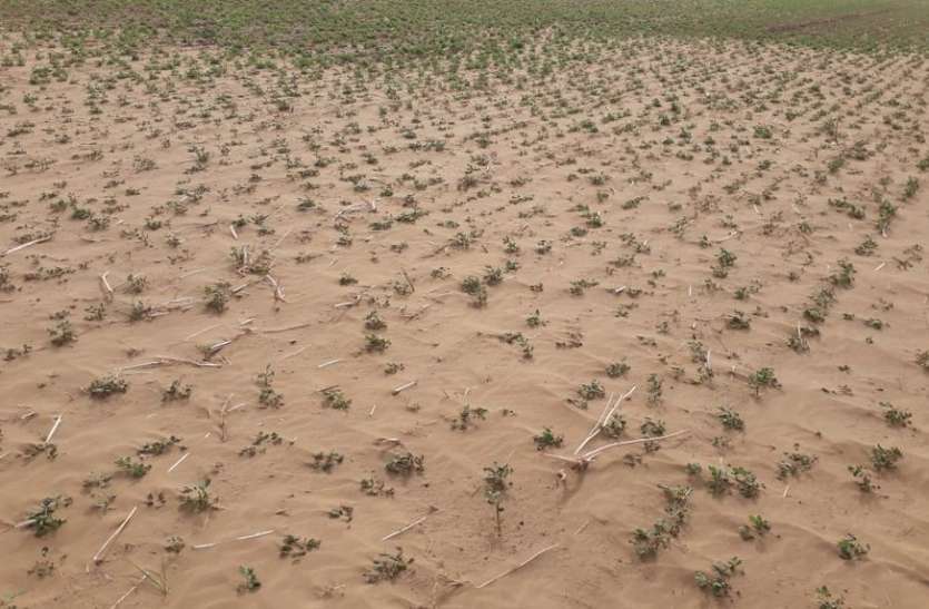 Farmers get ready for fields खरीफ की तैयारी, खेतों में जुटे धरतीपुत्र