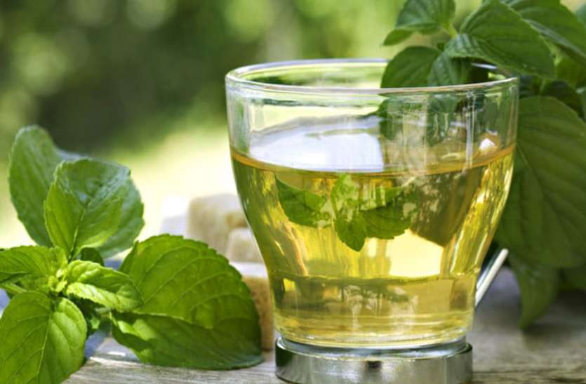 Herbal Plants रसोई में इस्तेमाल पानी से उगाएं हर्बल पौधे