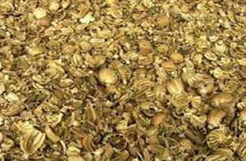 22 kg doda recovered from car in bhilwara आगे पीछे लगी अलग—अलग नंबरों की कार से बाइक को टक्कर मार कार छोड़ भागे दो जने, वाहन की तलाशी ली तो सामने आया यह सच