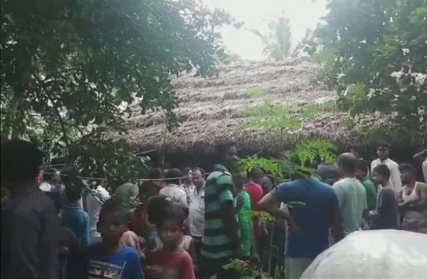 Over 110 Snake Hatchlings Found Inside House In Bhadrak
