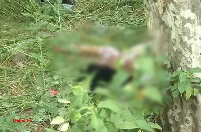 Dead Body जंगल में इस हालत में मिली महिला की बॉड़ी, देखकर पुलिस भी रह गई हैरान