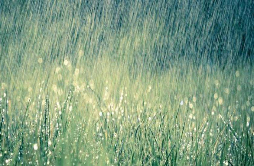 Rain