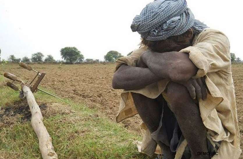 farmer बारिश को तरसते कलबुर्गी और यादगीर के किसान