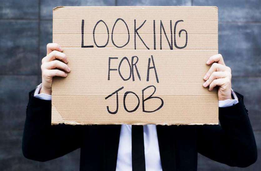 mp govt jobs not provided in mp youths, facts horrible मप्र में बेरोजगारों की संख्या लाखों में, नौकरी मिली इस इतने को, चौंका देंगे ये आंकड़े