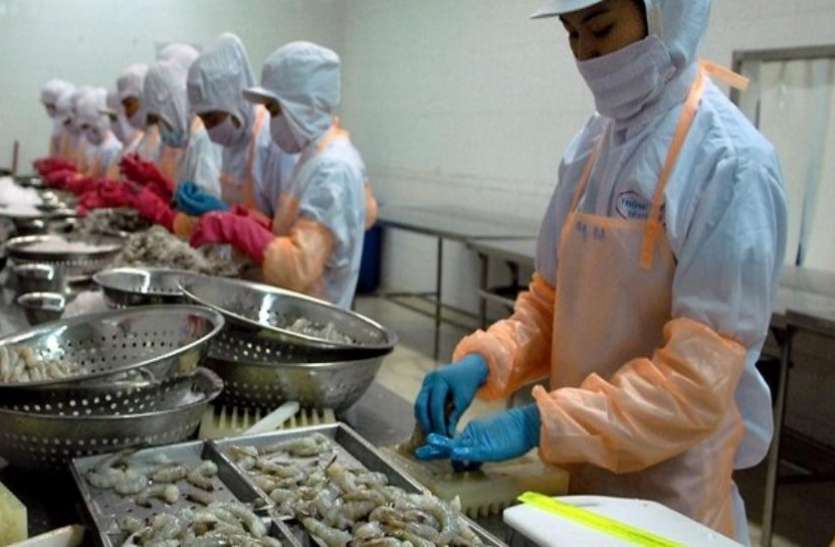 Fish and shrimp दुनिया के ये देश 45 हजार करोड़ रुपए की खा गए भारतीय मछली आैर झींगा