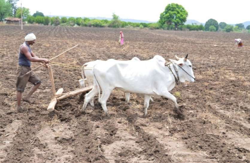 kisaan पंजीयन कराने किसान हो रहे परेशान