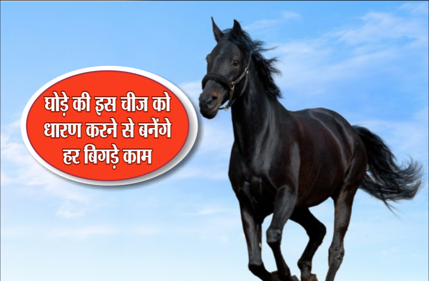 Ghode ki Naal शनिवार के दिन इस घोड़े की इस चीज को धारण करने से हर काम में मिलती हैं सफलता