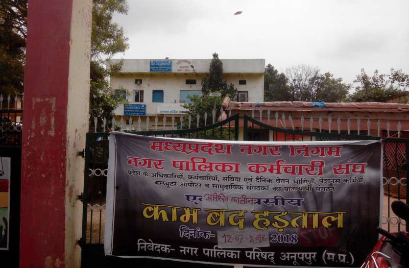 Cleanliness staff sitting on dharna in 6-point demands Due to the nece 6 सूत्री मांगों में धरने पर बैठे नपा कर्मचारी सफाई; पानी, बिजली जैसी जरूरी सुविधाएंं रही बंद, असुविधाओं से बेहाल हुए नगरवासी