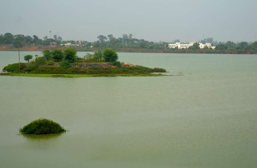 Ashoknagar Collect water बेतवा में आया उफान, 24 घंटे के भीतर राजघाट बांध का दो फीट बढ़ा जलस्तर