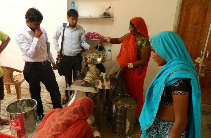 mpuat udaipur सीताफल ने बदली आदिवासी महिलाओं की तकदीर...उदयपुर की इस देन को पीएम मोदी ने भी सराहा
