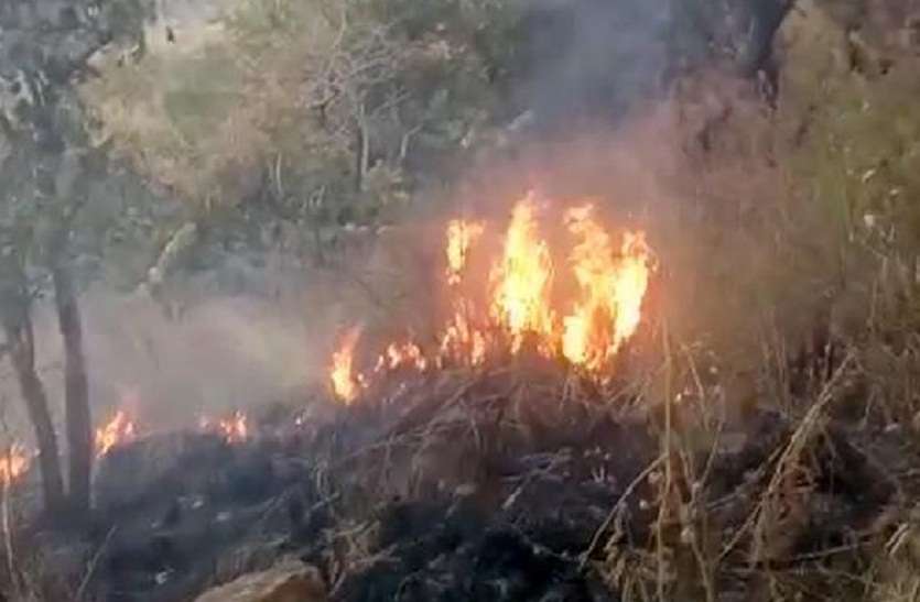 Commission handover report of fire in Kurangani forest to CM कुरंगनी के जंगलों में आग मामले की रिपोर्ट आयोग ने मुख्यमंत्री को सौंपी