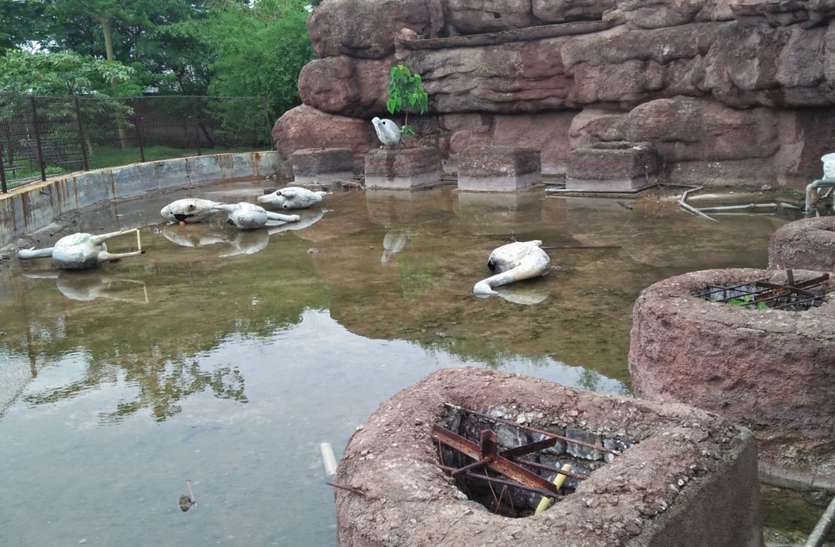 Jayanti garden bhilai चार साल में उजड़ गया 70 लाख का जयंती उद्यान