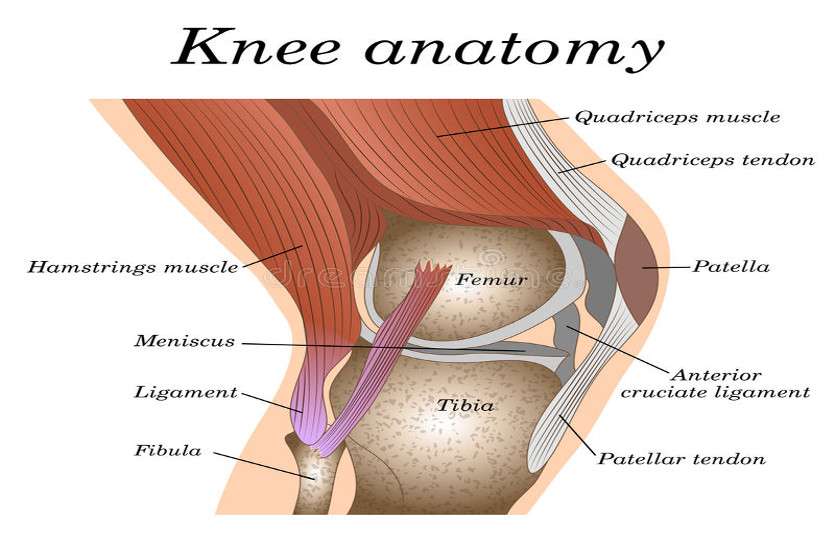 knee बचपन से जाम घुटने की सफल सर्जरी से मिली राहत