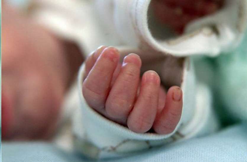 newborn baby dead in mp मानवता शर्मसार - एक बच्चे को कुत्तों ने नोच खाया, दूसरे नवजात का हुआ यह हाल