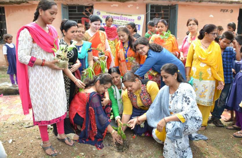 patrika harit pradesh campaigning in satn, city rights do plants daily हरीतिमा के लिए बढ़ चला कारवां, यहां पढें किस तरह समाजसेवी संगठन patrika अभियान से जुड़ कर रहे पौधरोपण