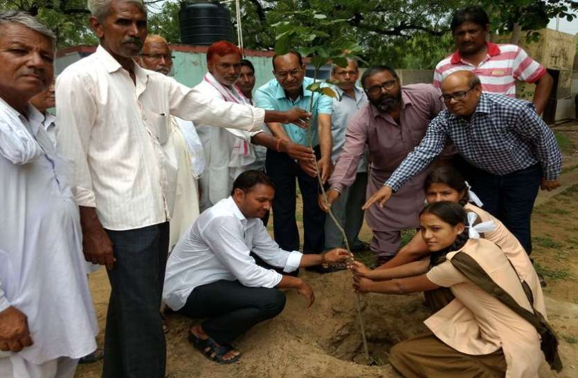 Two plants planted in each year प्रत्येक व्यक्ति लगाए वर्ष में दो पौधे