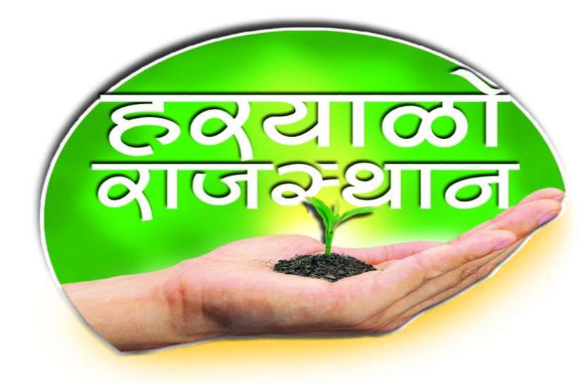 Happiness from greenery हरियाली से खुशहाली