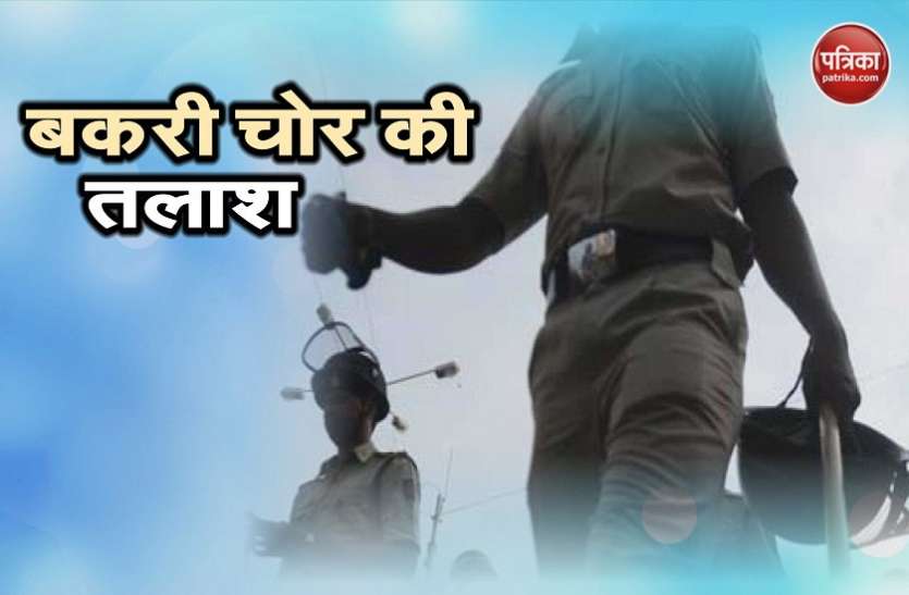 Gujarat गुजरात: चोरी में गई बकरी की तलाश में कई दिनों तक भटकती रही पुलिस, दो शहरों में छेड़ा सर्च आॅपरेशन