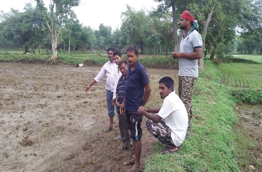 system फैक्ट्री का जहरीला पानी खेतों तक पहुंचा, 20 एकड़ में फसल बर्बाद